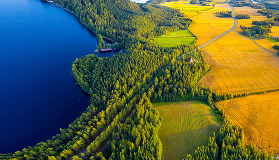 Maisema, jossa järvi, metsää ja peltoa.